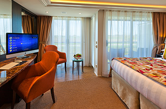 Cat AA room photo
